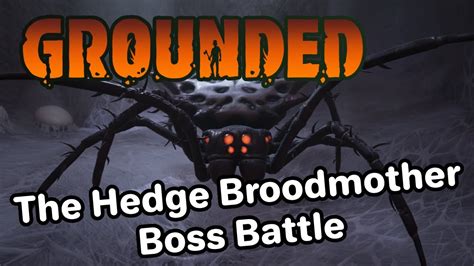 broodmother grounded recipe|grounded hedge broodmother boss.